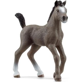 Schleich 13957 Zvířátko Hříbě plemene Selle Français