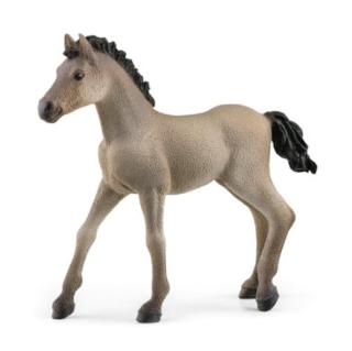 Schleich Criollo Definitivo hříbě, 13949