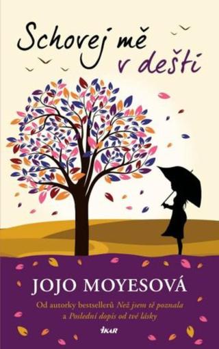 Schovej mě v dešti  - Jojo Moyes