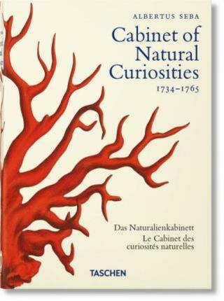 Seba. Cabinet of Natural Curiosities. 40th Anniversary Edition - Rainer Willmann, Irmgard Müsch, Jes Rust