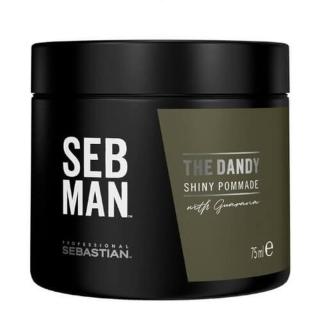 Sebastian Professional Pomáda na vlasy SEB MAN The Dandy  75 ml