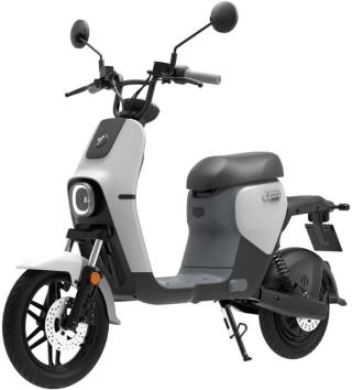 Segway eScooter B110S