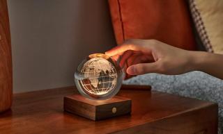 Stolní lampička s 3D motivem, více variant - Gingko Motiv: globus