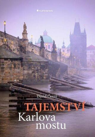 Tajemství Karlova mostu - David Černý