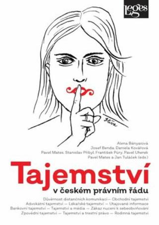 Tajemství v českém právním řádu - Daniela Kovářová, Alena Bányaiová, Josef Benda