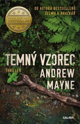 Temný vzorec - Andrew Mayne