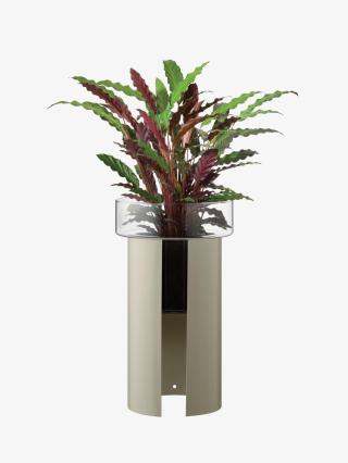 Terrazza květináč, v. 60 cm, Ø34 cm, čirá/betonově šedá - LSA international