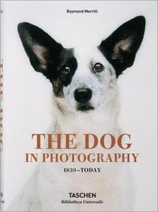 The Dog in Photography 1839–Today - Raymond Merritt