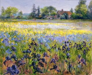 Timothy Easton - Obrazová reprodukce Irises and Two Fir Trees, 1993,