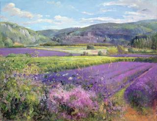 Timothy Easton - Obrazová reprodukce Lavender Fields in Old Provence,