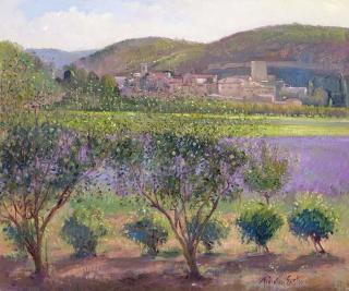 Timothy Easton - Obrazová reprodukce Lavender Seen Through Quince Trees, Monclus,