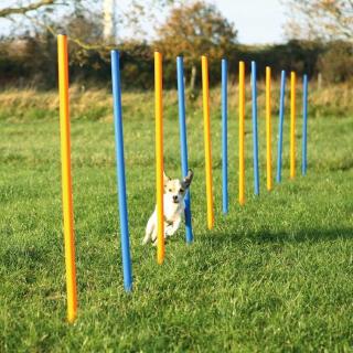 Trixie Agility - Slalom 115 × Ø 3 cm