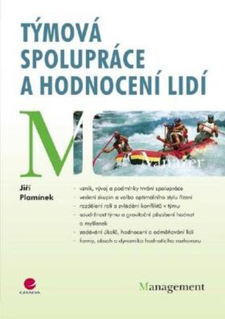 Týmová spolupráce a hodnocení lidí - Jiří Plamínek - e-kniha