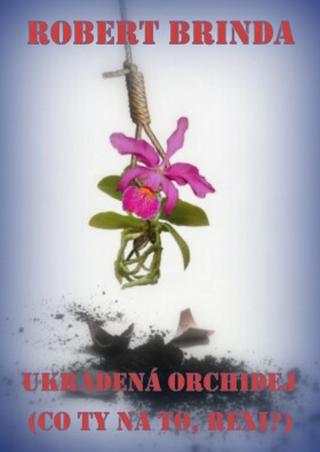 Ukradená orchidej - Robert Brinda - e-kniha
