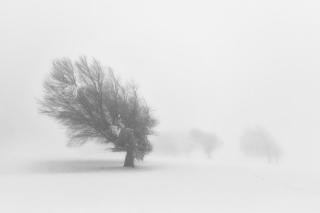 Umělecká fotografie Alone, fotoea,