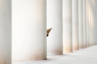 Umělecká fotografie Bella and the Pillars of the Earth, Heike Willers,