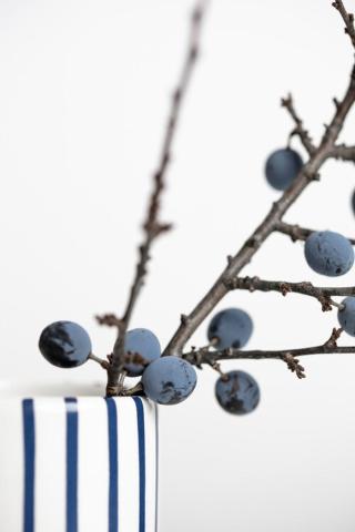 Umělecká fotografie Berries Blue, 1x Studio III,