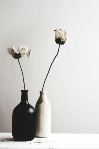 Umělecká fotografie Black And White Vase No 2, Treechild,
