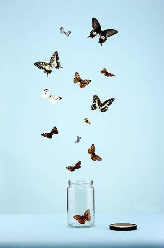 Umělecká fotografie butterflies escaping from jar, Martin Poole,
