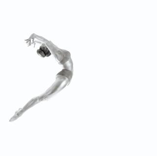 Umělecká fotografie Flight - Gymnastics Series, Howard Ashton-Jones,
