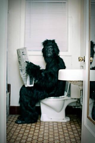 Umělecká fotografie Gorilla Uses a Vintage Bathroom While, RyanJLane,