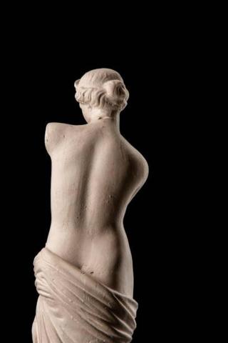 Umělecká fotografie gypsum plaster sculpture of Venus, Kozlik_Mozlik,