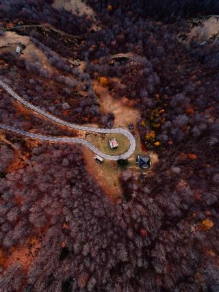 Umělecká fotografie Mountain road between autumn trees, Javier Pardina,