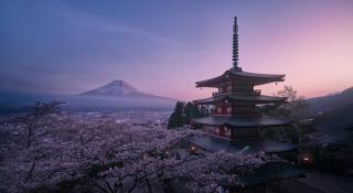 Umělecká fotografie Mt Fuji Sakura, Javier de la,