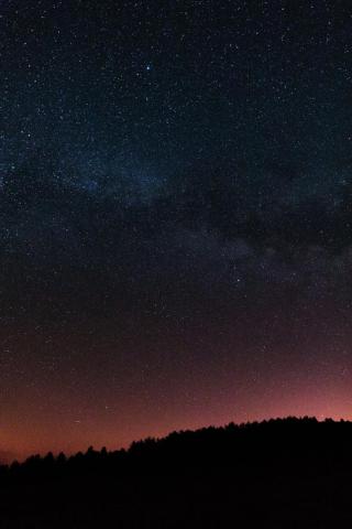 Umělecká fotografie Night photos of the Milky Way with stars and trees., Javier Pardina,