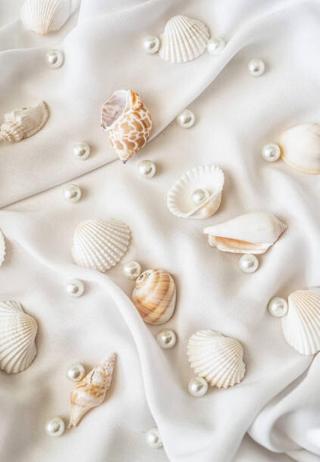 Umělecká fotografie Seashells and pearls on white silk, Natalia Ganelin,