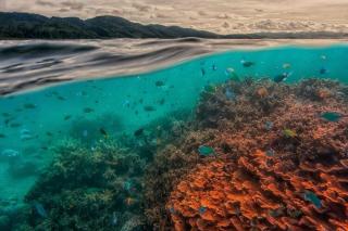 Umělecká fotografie uri marine reserve, Pavol Stranak,