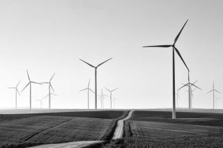 Umělecká fotografie Winding, Emilian Avrămescu,