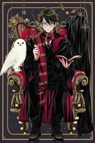 Umělecký tisk Harry Potter - Anime style,