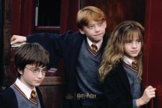 Umělecký tisk Harry Potter - Finally over,
