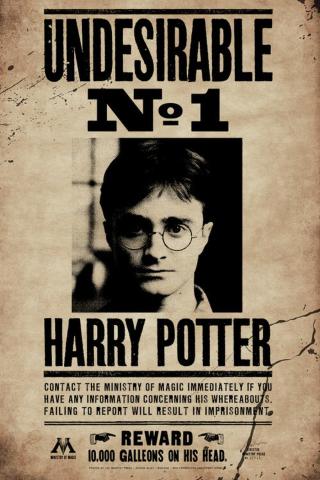 Umělecký tisk Harry Potter - Undesirable No 1,