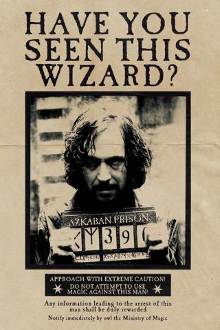 Umělecký tisk Harry Potter - Wanted Sirius Black,