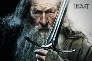 Umělecký tisk Hobbit - Gandalf,