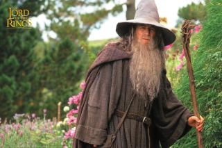 Umělecký tisk Lord of the Rings - Gandalf,