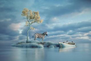 Umělecký tisk Surreal image of a zebra on, Orla,