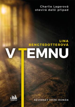 V temnu - Lina Bengtsdotterová - e-kniha