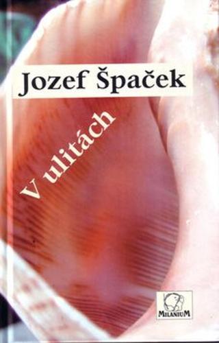 V ulitách - Jozef Špaček