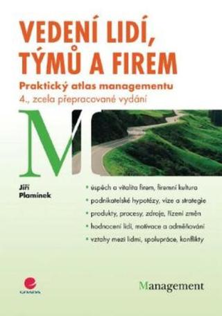 Vedení lidí, týmů a firem - Jiří Plamínek - e-kniha