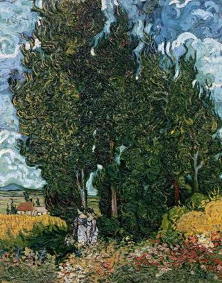 Vincent van Gogh - Obrazová reprodukce The cypresses, c.1889-90,