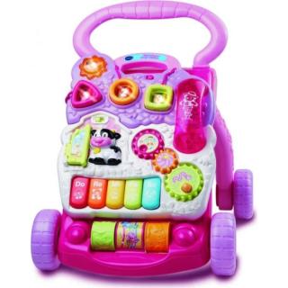 VTech Chodítko - Uč se a poznávej růžová