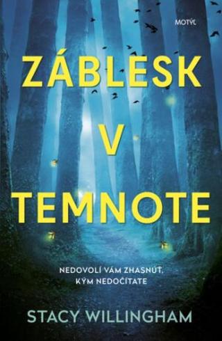 Záblesk v temnote - Willingham Stacy