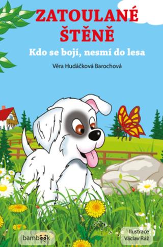 Zatoulané štěně - Václav Ráž, Věra Hudáčková Barochová - e-kniha