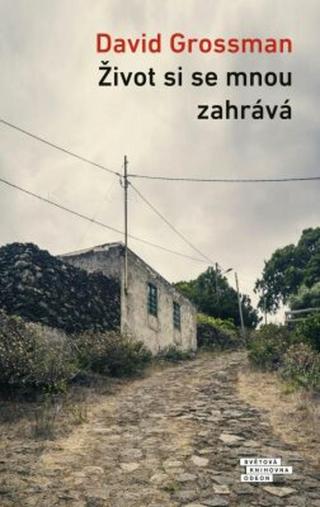 Život si se mnou zahrává - David Grossman