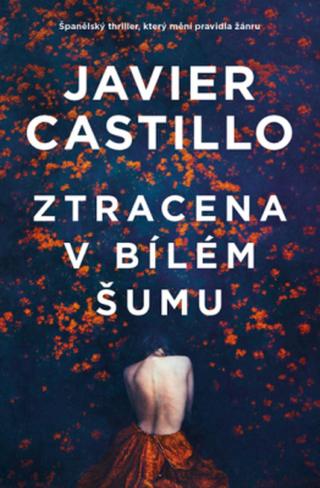 Ztracena v bílém šumu - Javier Castillo - e-kniha